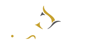 I-Catchers primary logo white